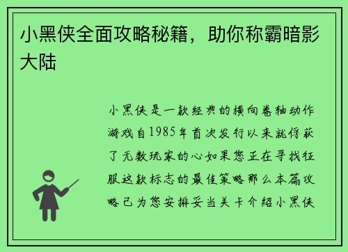 小黑侠全面攻略秘籍，助你称霸暗影大陆
